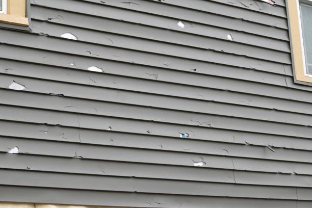 Best Hoarding Cleanup  in Quinnesec, MI