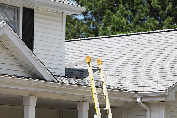 Best Same-Day Junk Removal Services  in Quinnesec, MI